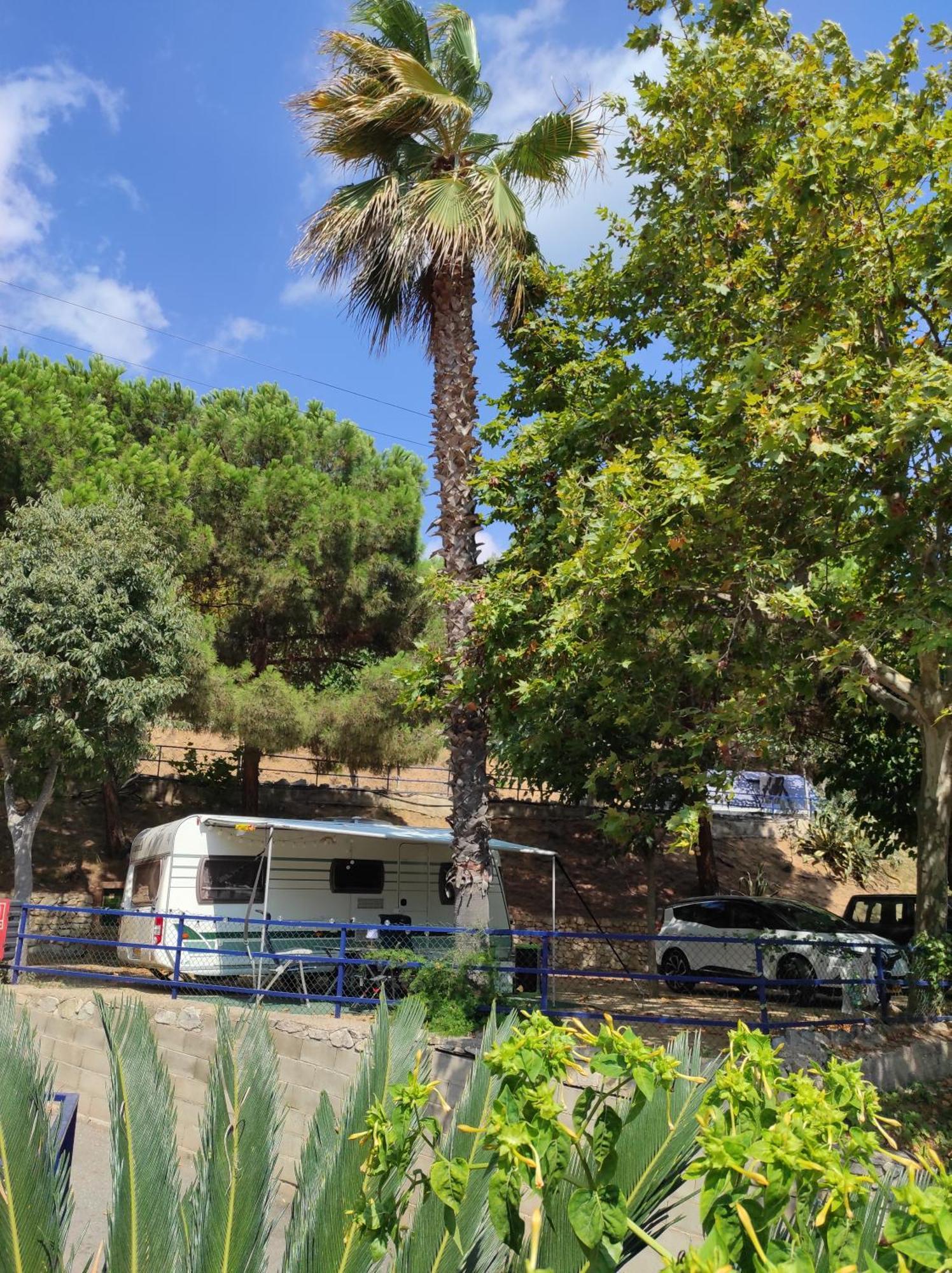 Camping Roca Grossa Hotel Calella Esterno foto